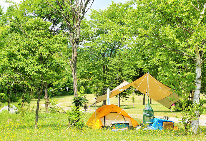 夏だ 山だ キャンプ アウトドア 家族や友達と快適に楽しめる服装は Mac House Web Magazine